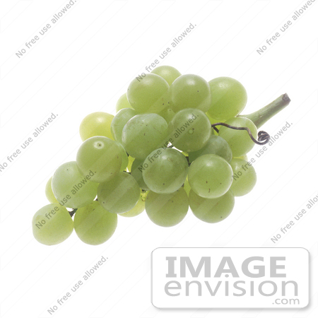 #16989 Picture of a Green Grape Bunch Over a White Background by JVPD