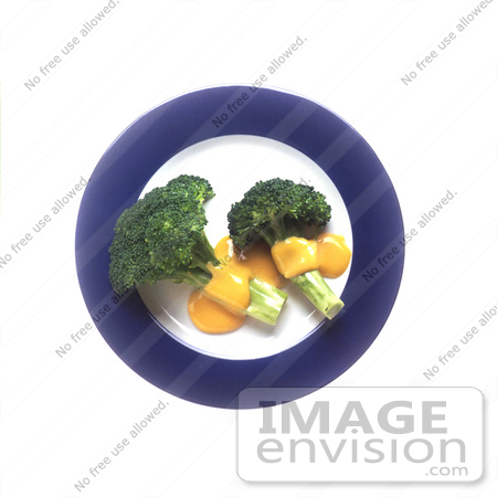 #16994 Picture of Steamed Broccoli and Melted Cheddar Cheese on a Plate by JVPD