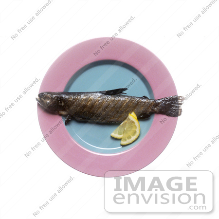 #16996 Picture of a Whole and Cooked Trout Fish Garnished With Lemon Slices on a Plate by JVPD