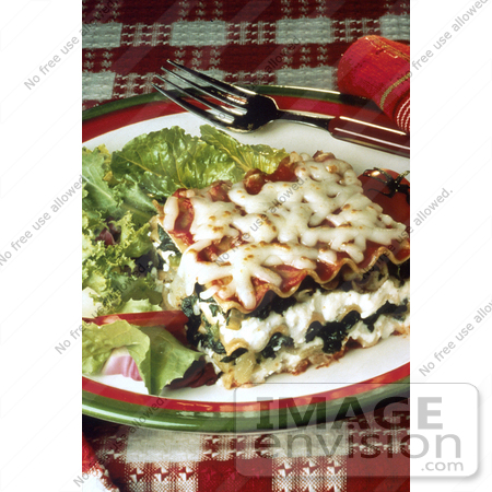 #17163 Picture of One Whole Square of Cut Vegetarian Cheese and Spinach Lasagna Served With a Salad by JVPD