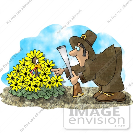 #17504 Pilgrim Man Hunting For a Turkey That is Hiding in Daisies Clipart by DJArt