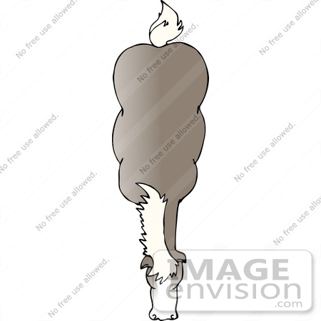 #17644 Gray Horse With White Hair as Seen From Above Clipart by DJArt