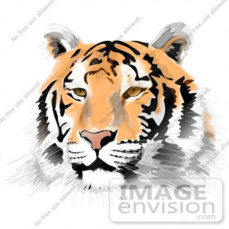 #17653 Orange, Black and White Tiger Face Clipart by DJArt