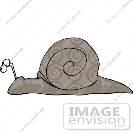 #17708 Spiral Patterned Shell Snail Clipart by DJArt
