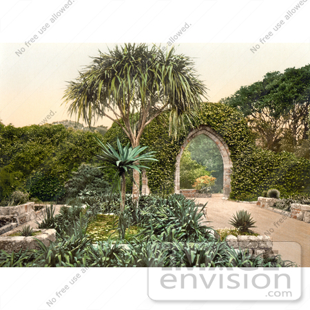 #17774 Photo of Ivy Covered Wall and Archway Over a Path in the Tresco Abbey Gardens, Scilly Isles, Cornwall, England by JVPD