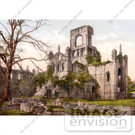 #17790 Photo of Bare Tree and Ruins of Kirkstall Abbey in Leeds, Yorkshire, England by JVPD