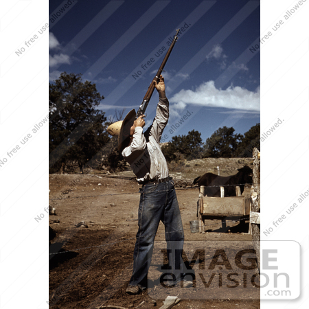 #17862 Photo of a Male Homesteader Shooting Hawks After They Preyed on His Chicken by JVPD