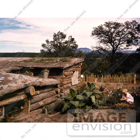#17866 Photo of a Child in a Garden by a Dugout Home in Pie Town, New Mexico by JVPD