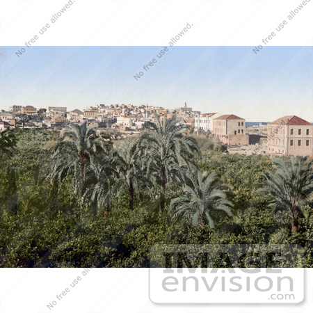 #18399 Photo of a Garden in the City of Jaffa, Holy Land, Israel by JVPD