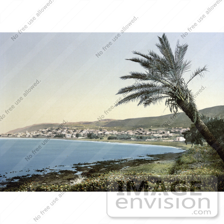 #18406 Photo of Haifa on Haifa Bay, Holy Land, Israel by JVPD