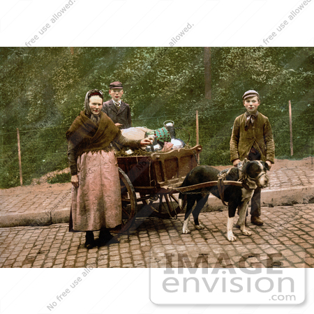 #18443 Photo of Milk Vendors With a Dog Pulling a Cart, Brussels, Belgium by JVPD