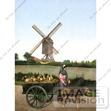 #18465 Photo of a Female Milk Seller With Dog Drawn Cart, Brussels, Belgium by JVPD