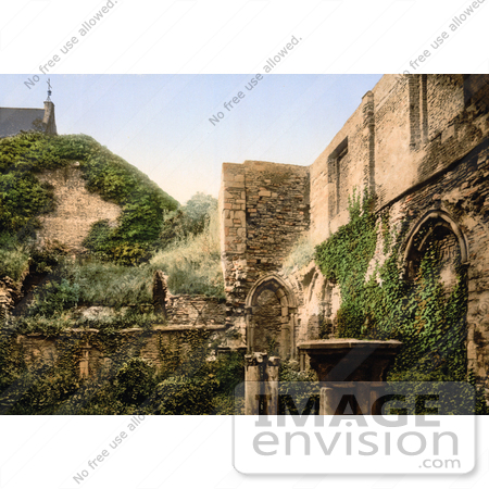 #18484 Photo of Vines Covering the Ruins of the Virgin’s Crypt, St Bavon Abbey, Ghent, Belgium by JVPD