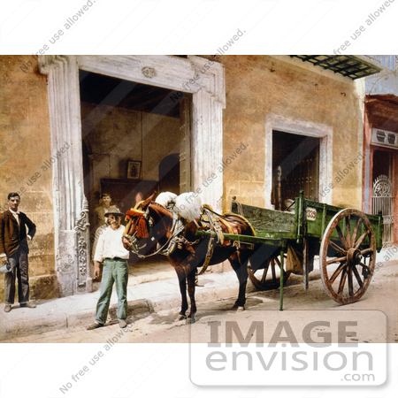#18586 Photo of a Man Leading a Mule That is Pulling a Cart in Havana, Cuba by JVPD