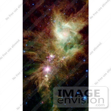 #18751 Photo of the Christmas Tree Cluster, Open Cluster NGC 2264, Xmas Tree Cluster by JVPD