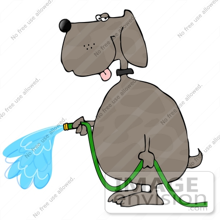 #18833 Dog Spraying Water From a Green Garden Hose Clipart by DJArt