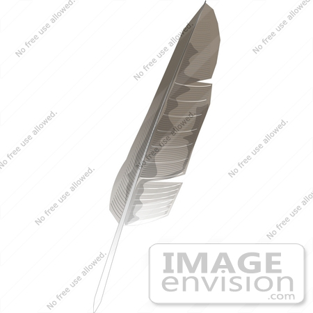 #18901 One Gray Feather Quill Clipart by DJArt
