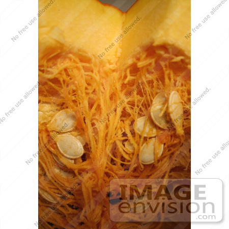 #19360 Photo of Pumpkin Seeds and Guts Inside a Halloween Pumpkin by Jamie Voetsch