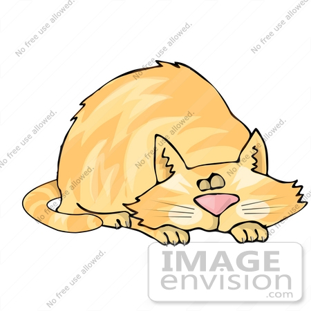 #19455 Tired Orange Cat Sleeping With His Head Between His Paws Clipart by DJArt