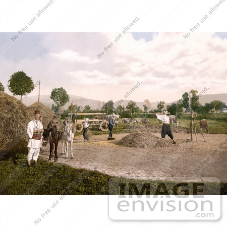 #19523 Photo of Men and Horses Working in a Farmyard, Stacking Hay, Bosnia by JVPD