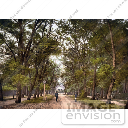 #19706 Photo of Guards on a Dirt Road in the Great Forest, Debrecen, Hungary by JVPD