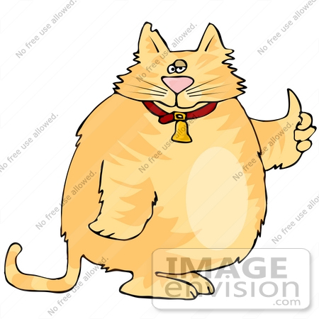 #19753 Chubby Orange Ginger Cat Giving the Thumbs Up Clipart by DJArt