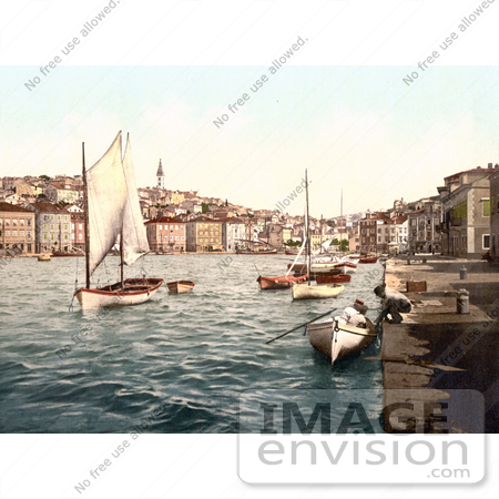 #19793 Photo of Boats in the Marina in Mali Losinj, Lussinpiccolo, Istria, Croatia by JVPD