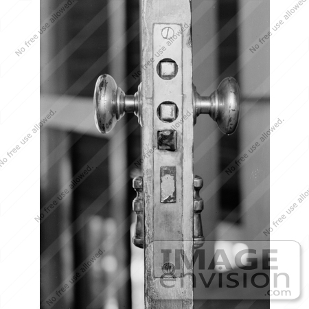#20105 Stock Photo: Silver Plated Lock and Handles on a Door by JVPD