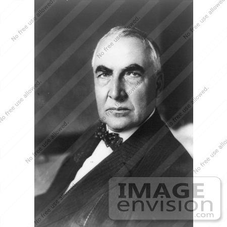 #20349 History Stock Photo of Warren G. Harding, 29th President of the USA by JVPD