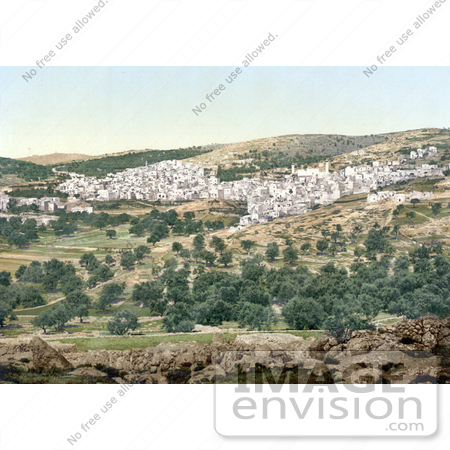 #20420 Historical Stock Photography of the City of Hebron on the West Bank by JVPD
