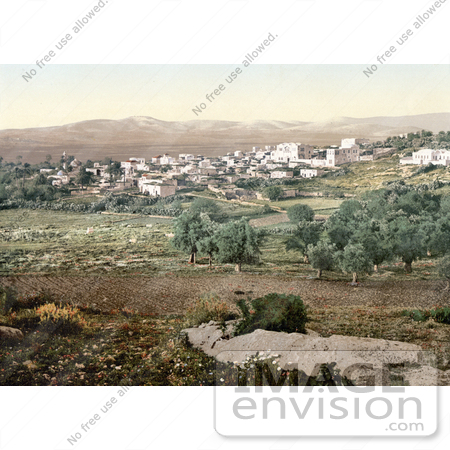 #20424 Historical Stock Photography of the City of Jenin, Holy Land, West Bank by JVPD