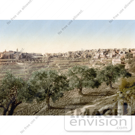 #20425 Historical Stock Photography of the Well of David, Bethlehem by JVPD