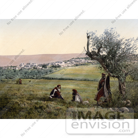 #20436 Historical Stock Photography of Men by a Tree Near Cana of Galilee, Holy Land by JVPD