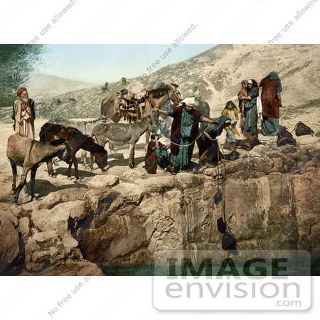 #20442 Historical Stock Photography of Bedouins With Their Mules, Drawing Water With Bags, Holy Land by JVPD