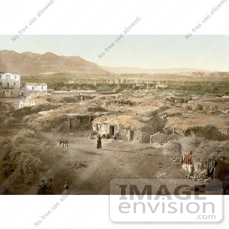 #20445 Historical Stock Photography of Jericho, Holy Land, West Bank by JVPD