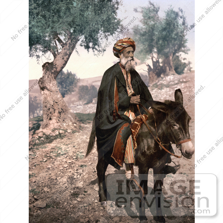 #20446 Historical Stock Photography of Bethlehem Native Man on a Donkey, Holy Land, West Bank by JVPD