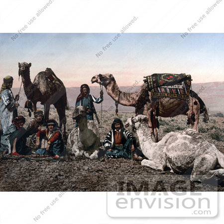 #20450 Historical Stock Photography of Bedouins and Camels Resting in the Desert, Holy Land by JVPD