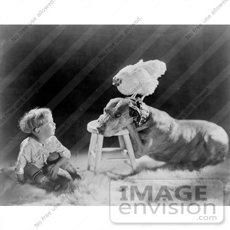 #20530 Stock Photography of a Little Boy Sitting by a Dog With a Chicken on His Head, 1920 by JVPD