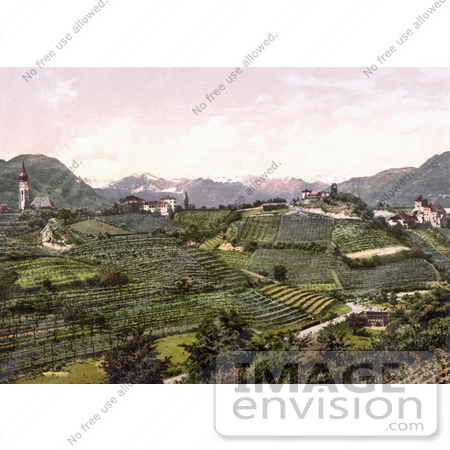 #20653 Historical Photochrome Stock Photography of Grapevine Winery Hills in San Paolo, St. Paul’s, Eppan, Tyrol, Austria by JVPD