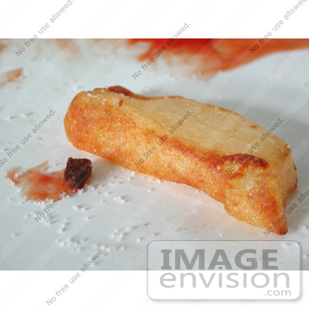 #207 Stock Photoof a French Fry with Salt by Jamie Voetsch