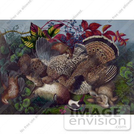#20761 Stock Photography of Dead Game Animals After a Hunting Trip, Mallard Duck, Quail and Rabbit by JVPD