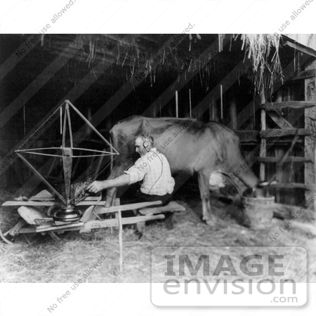 #20795 Stock Photography of a Milk Man Tuning a Radio While He Milks a Cow by JVPD