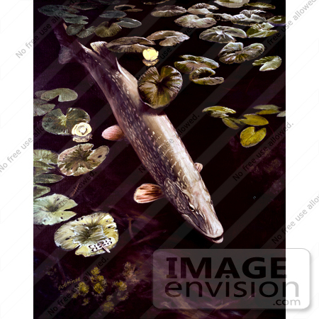 #20969 Clipart Image Illustration of a Northern Pike Fish Swimming by Lilypads by JVPD