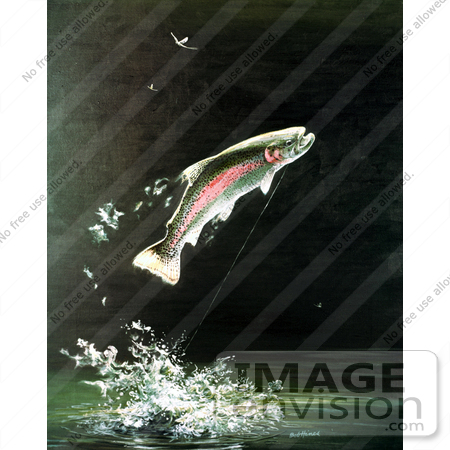 #20971 Clipart Image Illustration of a Rainbow Trout Fish Jumping Out of the Water After Biting a Fishing Hook by JVPD