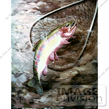 #21010 Clipart Image Illustration of a Golden Trout in a Fishing Net by JVPD