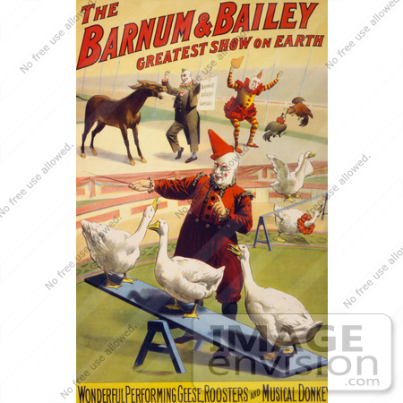 #21114 Stock Photography of a Barnum and Bailey Circus Poster of Clowns Performing With Geese, Roosters and a Donkey by JVPD