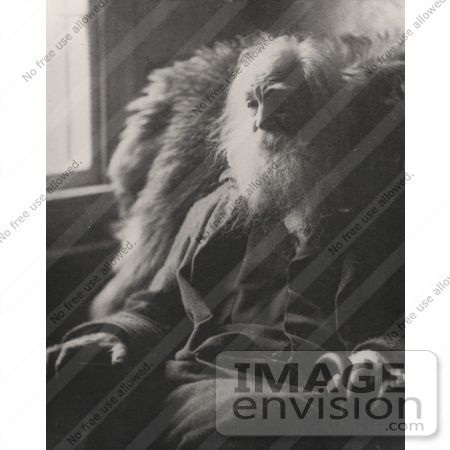 #21362 Historical Stock Photography of Walt Whitman Sitting in a Chair by a Window, 1891 by JVPD