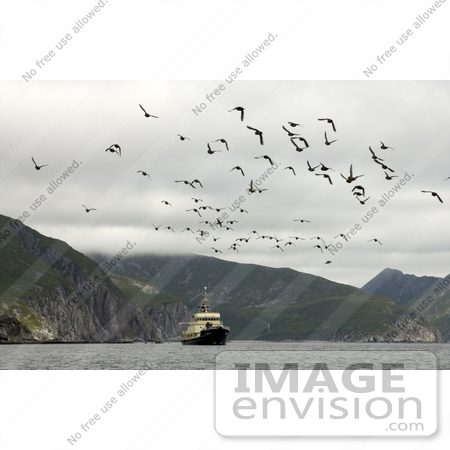 #21506 Stock Photography of Birds Flying Over a Boat at Big Koniuji Island, Shumagin Islands, Alaska by JVPD