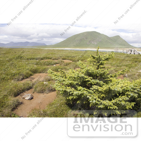 #21551 Stock Photography of a Run Down House on Simeonof Island, Alaska by JVPD