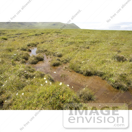 #21555 Stock Photography of a Bog on Simeonof Island, Alaska by JVPD